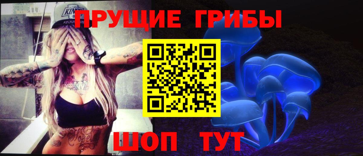 Псилоцибиновые грибы прущие грибы Мценск