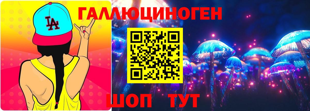 купить закладку  Вход с VPN  Мценск  Галлюциногенные грибы Psilocybine cubensis  Галлюциногенные грибы Psilocybine cubensis 